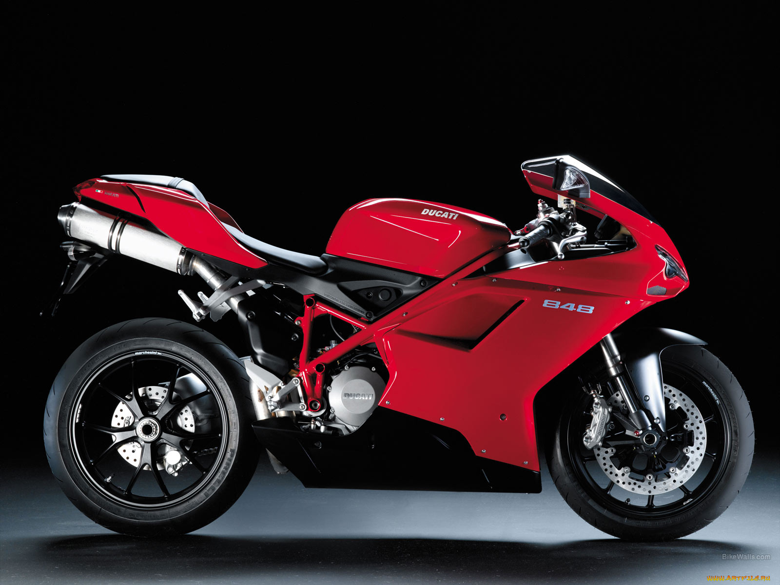 , ducati